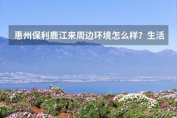 惠州保利鹿江来周边环境怎么样？生活便利吗？