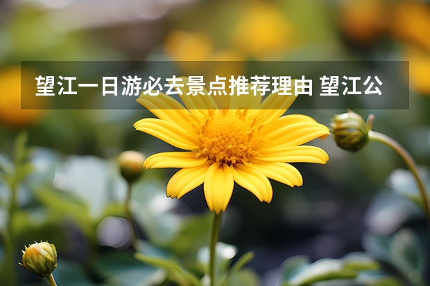 望江一日游必去景点推荐理由 望江公园的主要景点