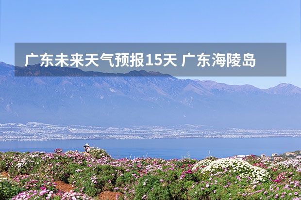 广东未来天气预报15天 广东海陵岛天气预报15天