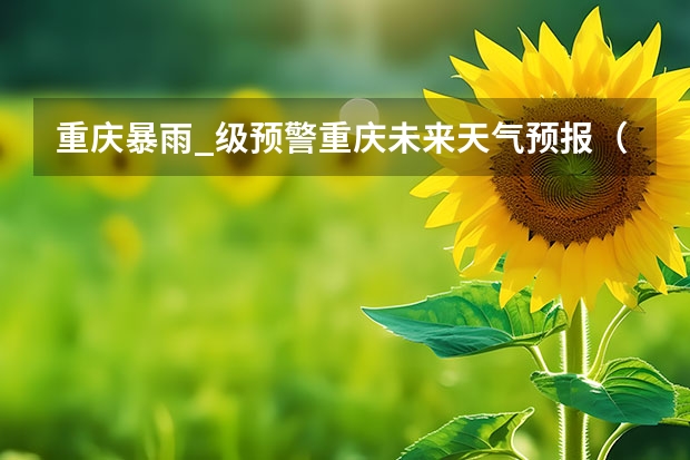 重庆暴雨_级预警重庆未来天气预报（天气预报15天查询）