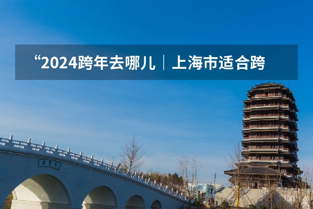 “2024跨年去哪儿｜上海市适合跨年的地方（”）